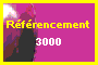 referencement-3000
